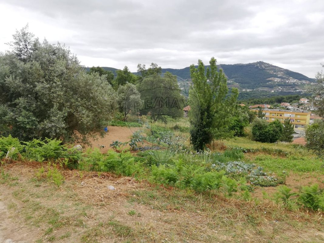 Terreno  para venda