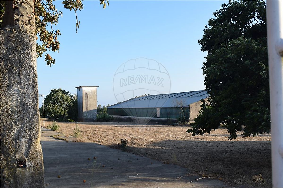 Pavilhão - 