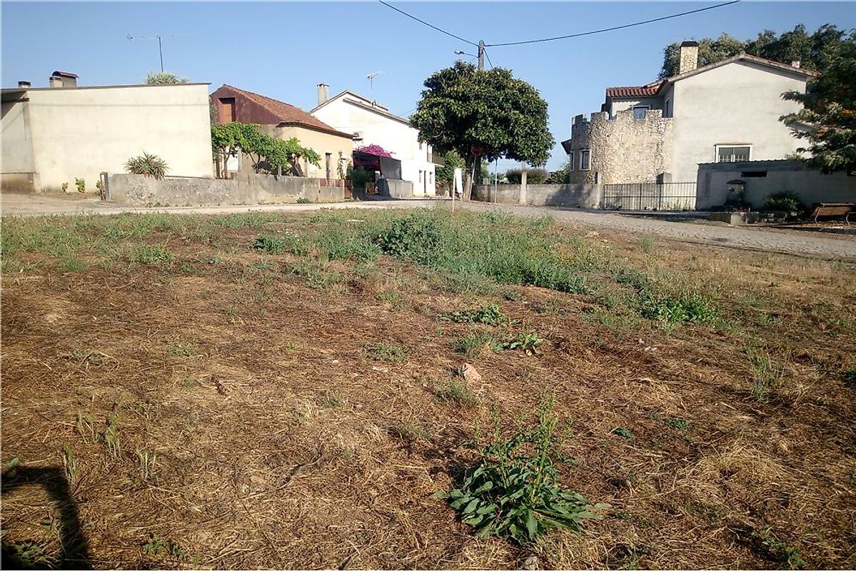 Terreno à venda em Alvaiázere