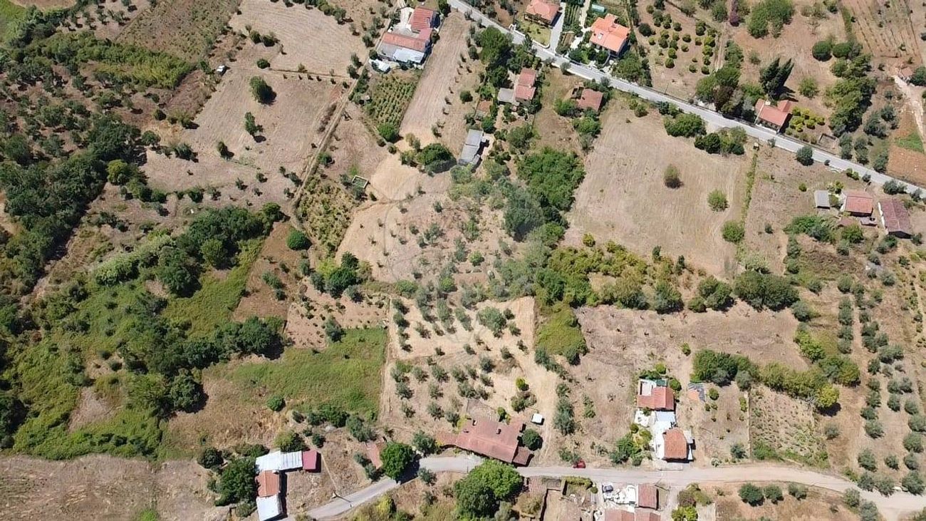 listing 125281008-68 picture-0