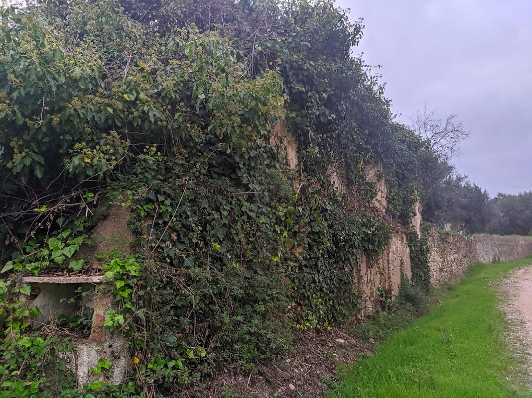 Moradia T2 à venda em Junceira