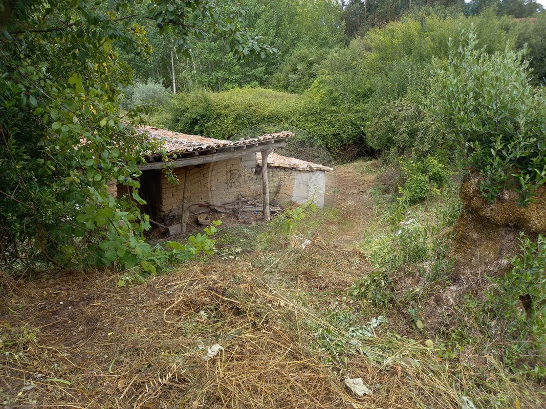 TODO