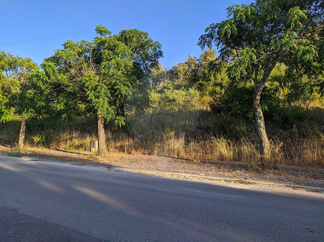 Land for sale in Tomar, Portugal — €50,000
