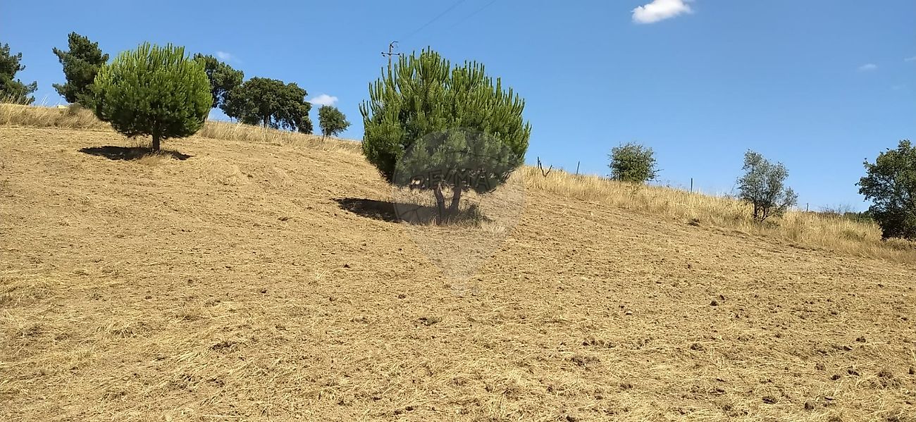 Terreno à venda em Tomar