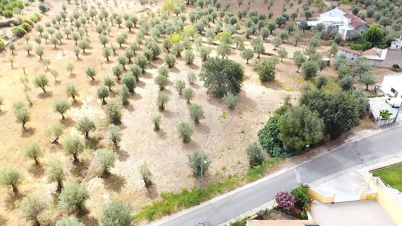 Terreno à venda em Ferreira do Zêzere