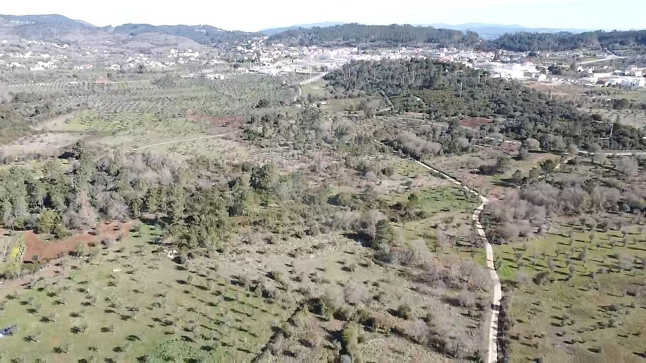 Terreno à venda em Alvaiázere