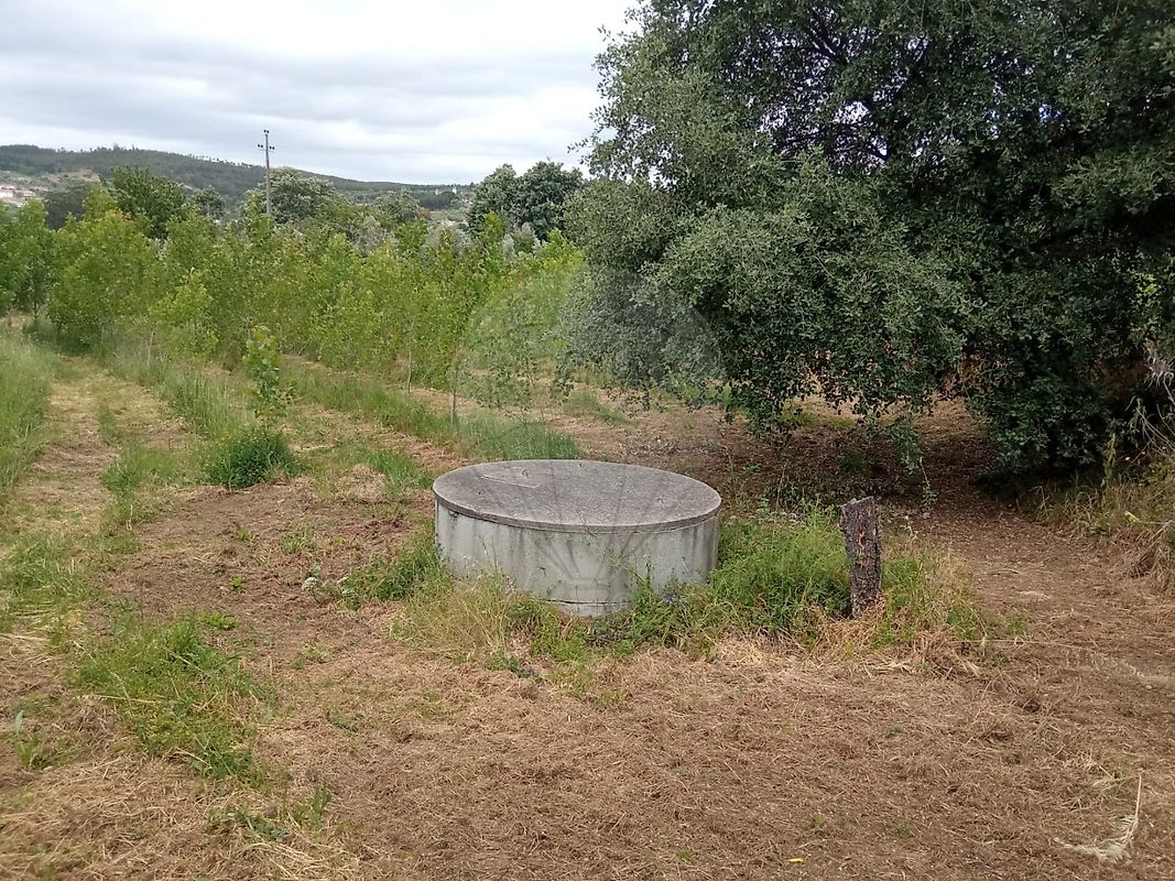Terreno à venda em Ferreira do Zêzere