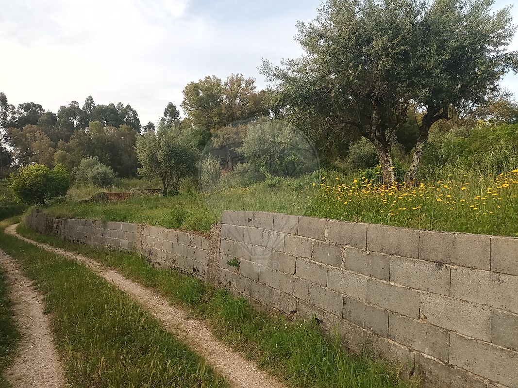 Terreno à venda em Tomar