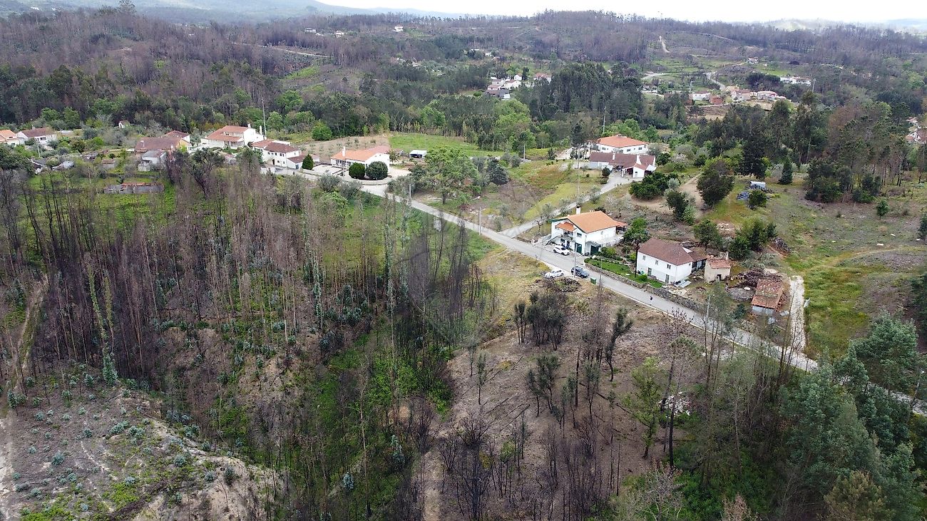 Terreno  à venda em Ansião