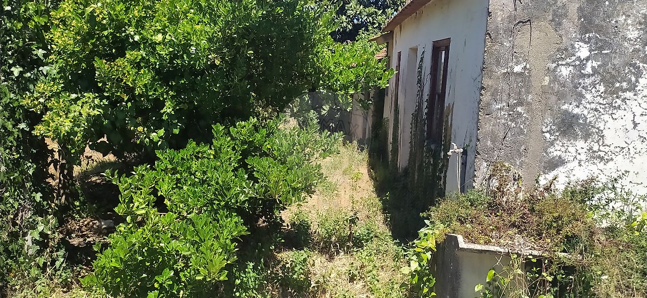 Moradia T2 à venda em Águas Belas, Ferreira do Zêzere — foto 10