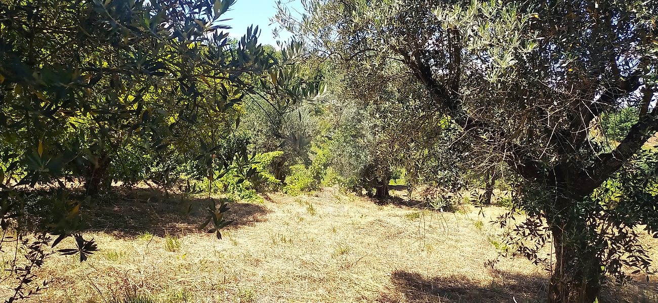 Moradia T2 à venda em Águas Belas, Ferreira do Zêzere — foto 9