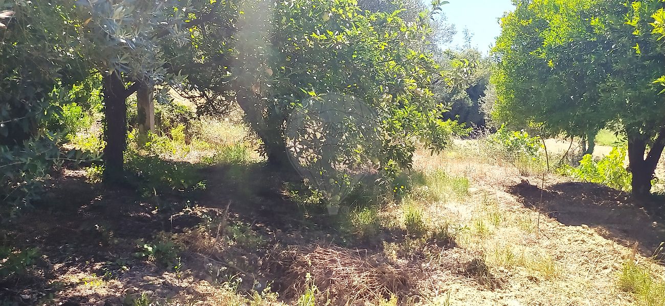 Moradia T2 à venda em Águas Belas, Ferreira do Zêzere — foto 7