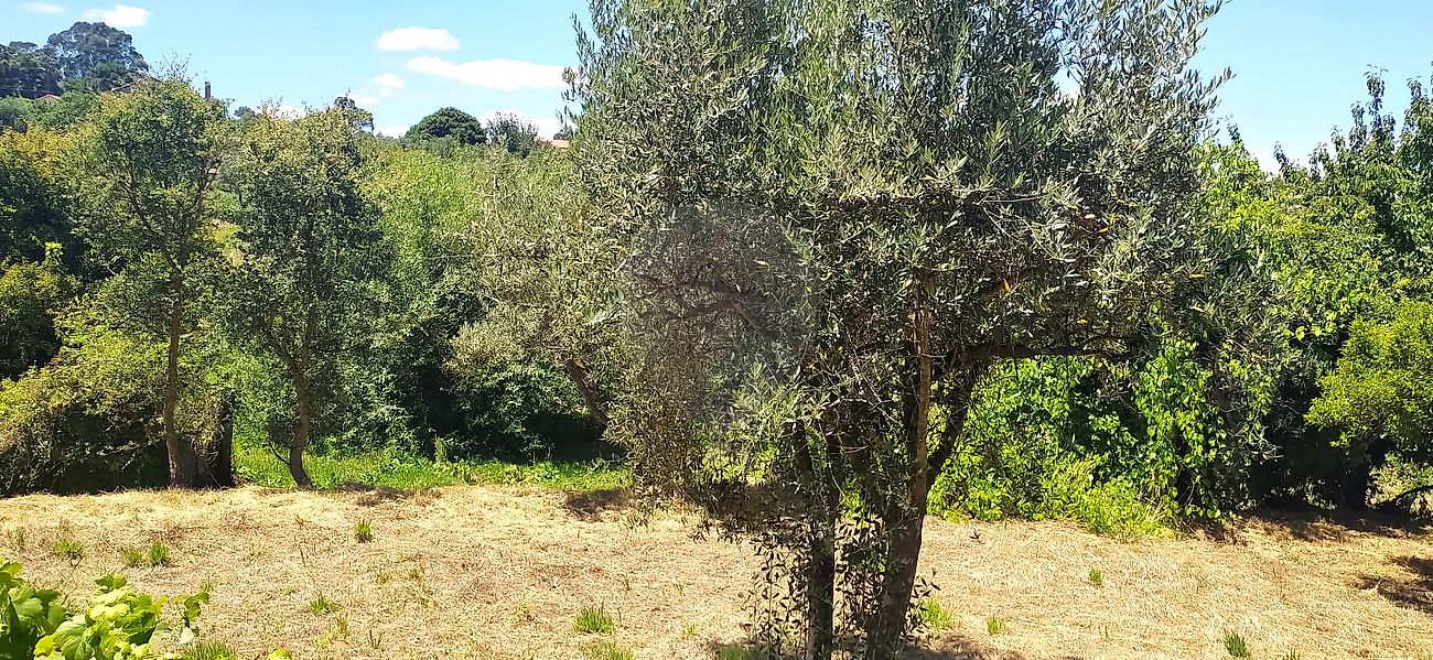 Moradia T2 à venda em Águas Belas, Ferreira do Zêzere — foto 6