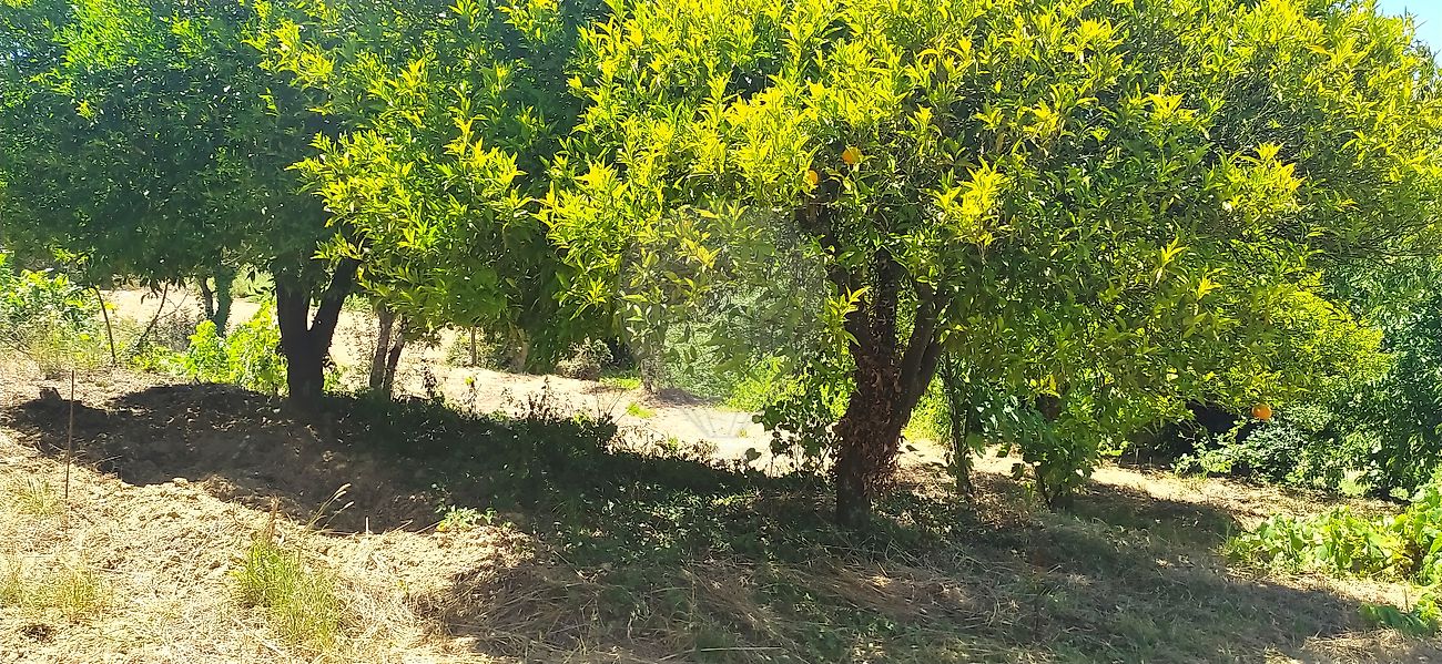 Moradia T2 à venda em Águas Belas, Ferreira do Zêzere — foto 8