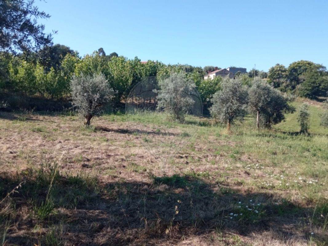 Terreno  para venda