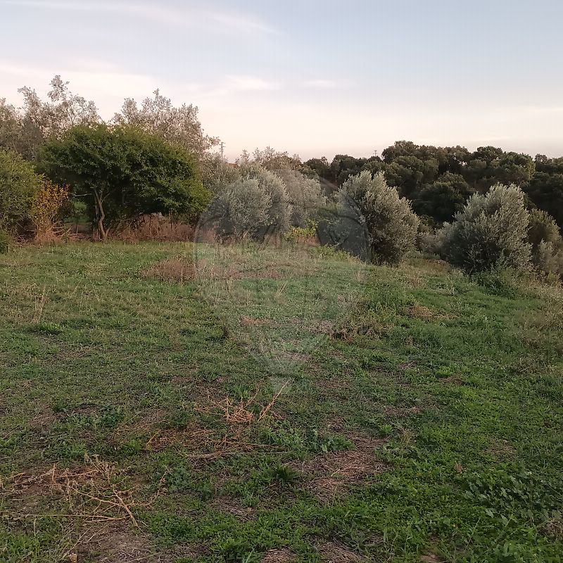 Outros - Habitação - Serra e Junceira, Tomar, Santarém