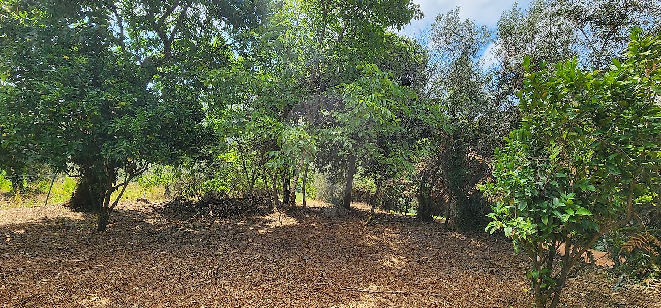 listing-picture-0