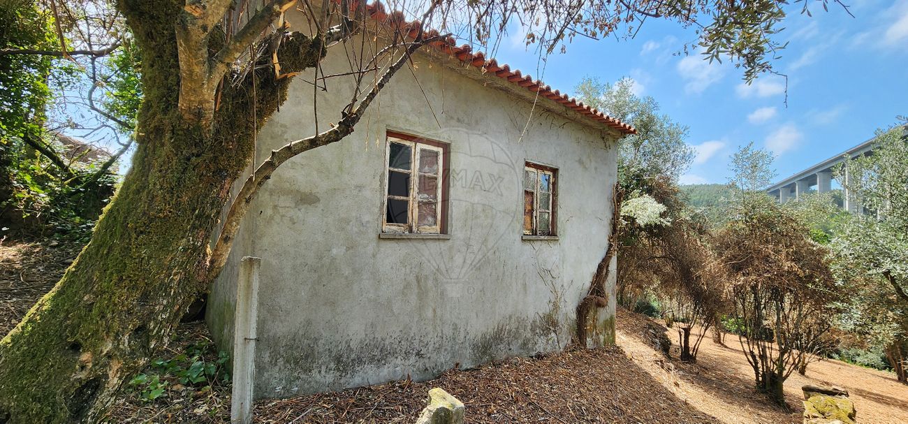listing-picture-0