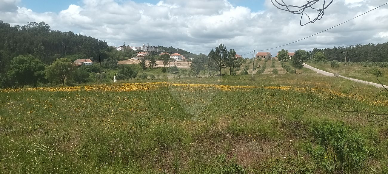 Terreno  à venda em Tomar