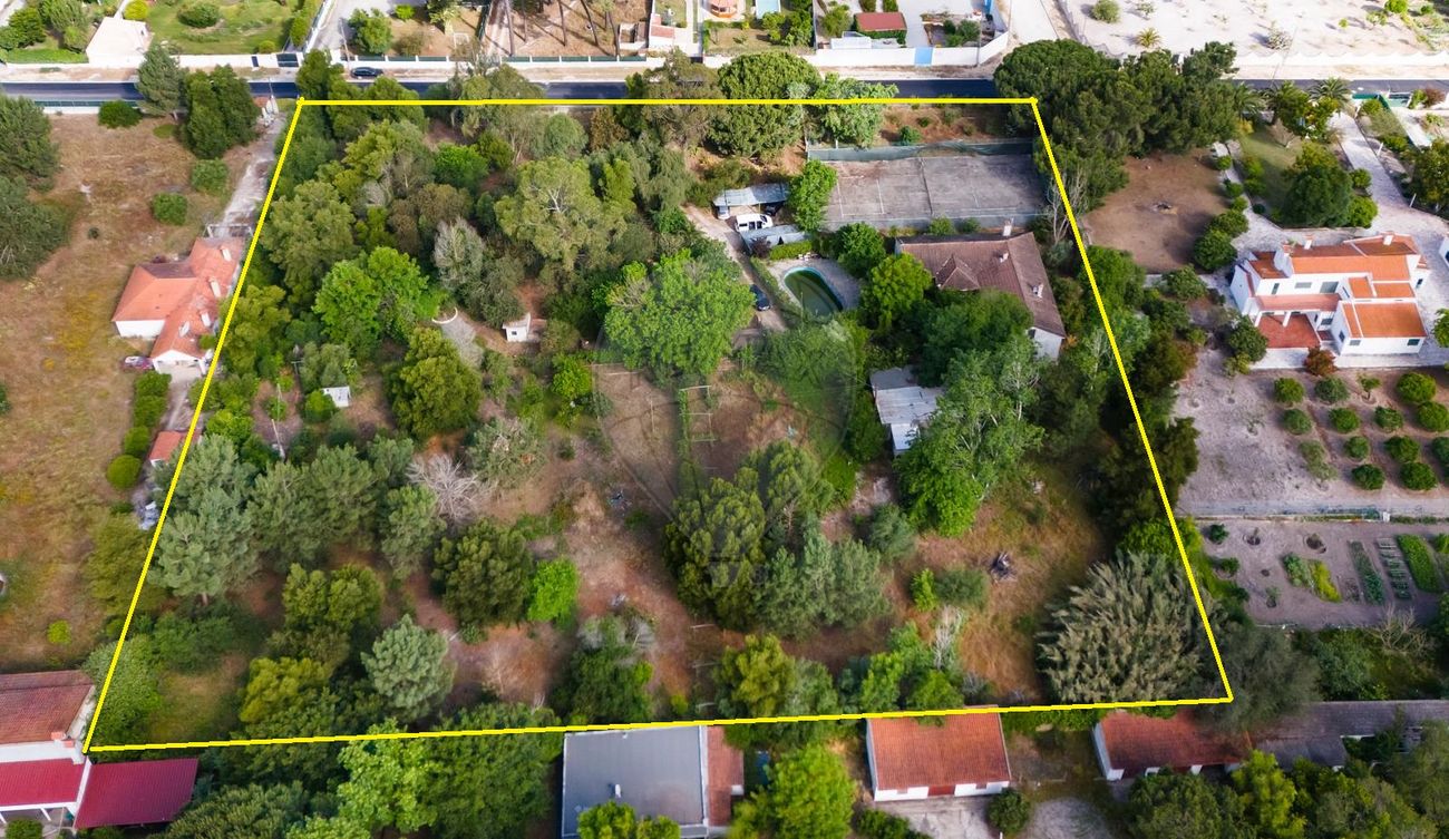 listing-picture-0