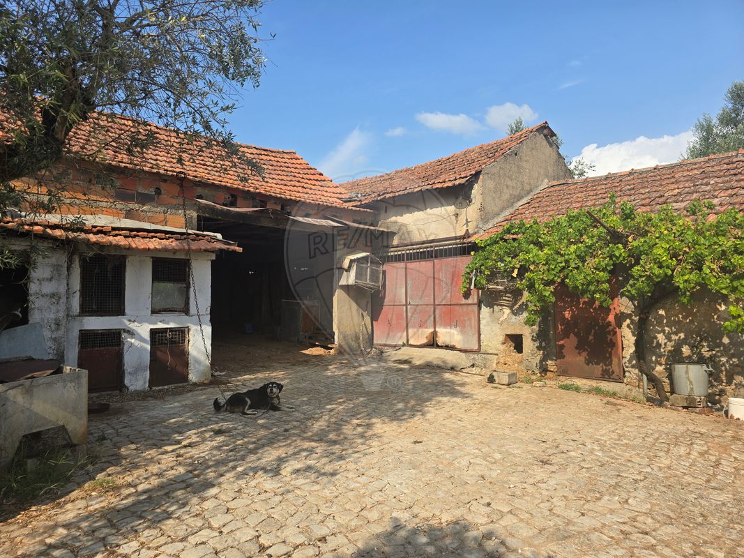 listing-picture-0