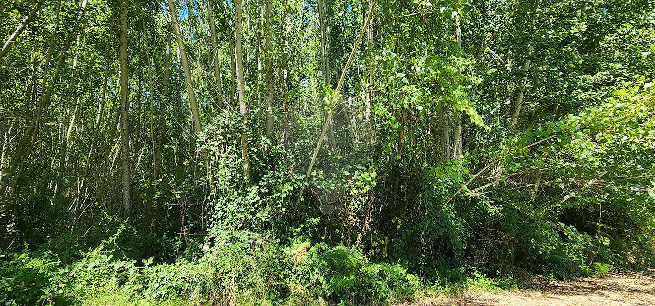 Terreno para venda