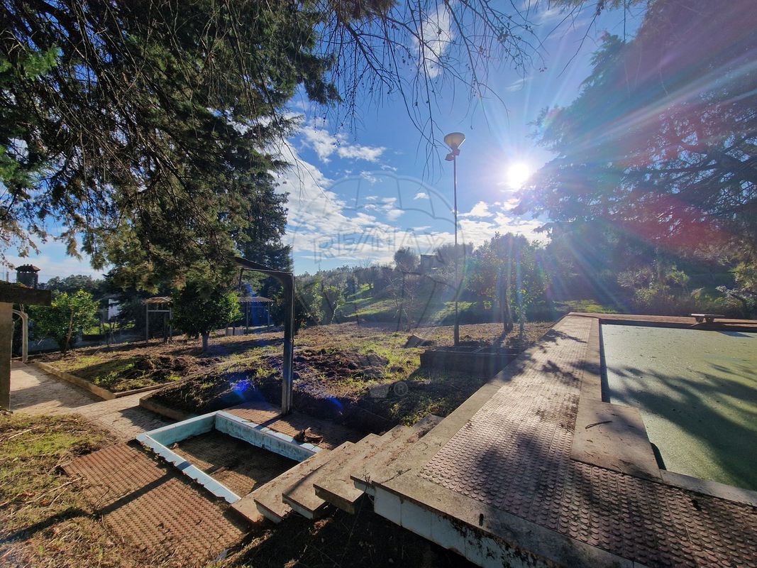 listing 125281055-39 picture-0