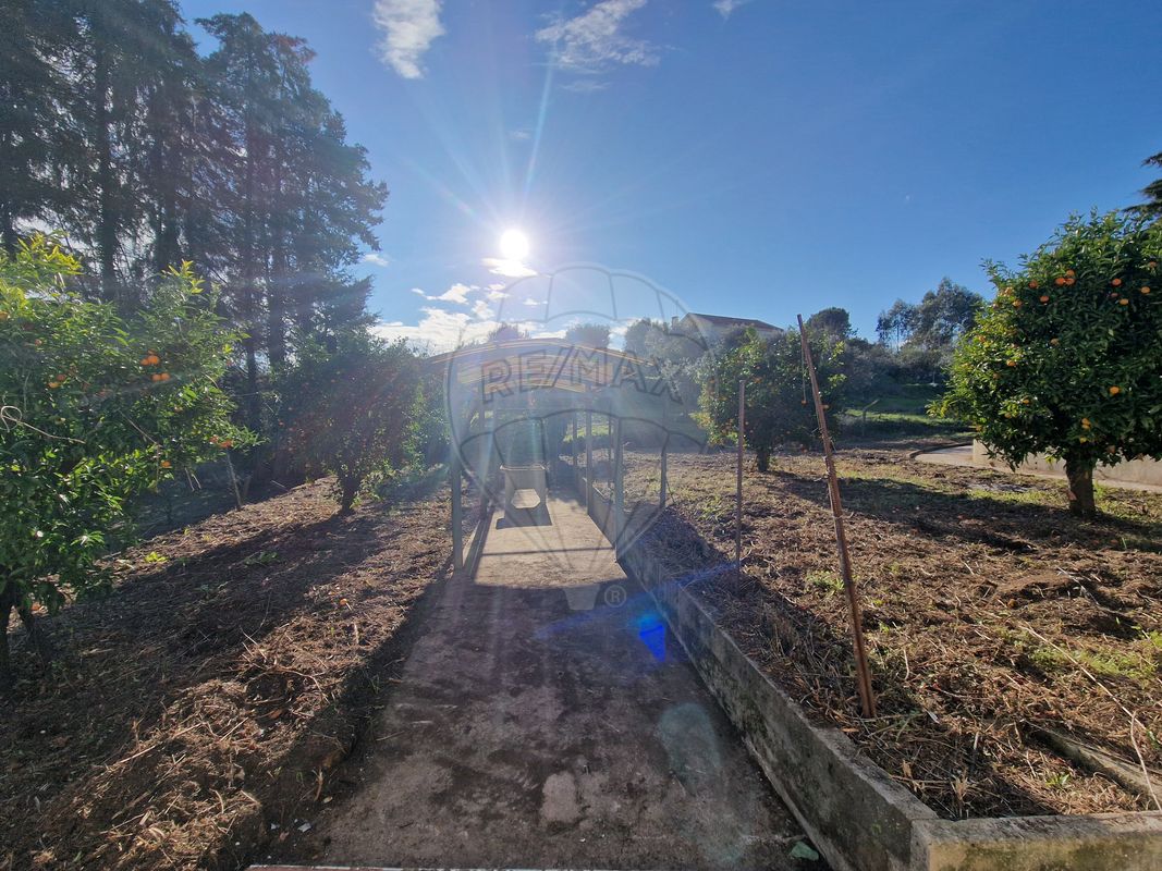 listing 125281055-39 picture-0