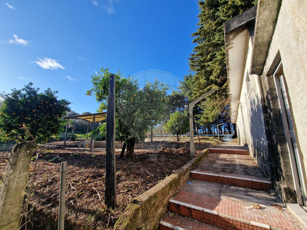 listing 125281055-39 picture-0