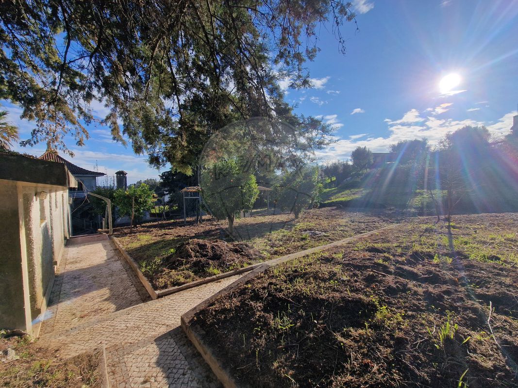 listing 125281055-39 picture-0