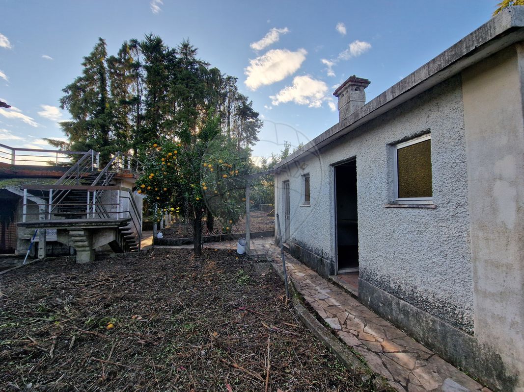 listing 125281055-39 picture-0
