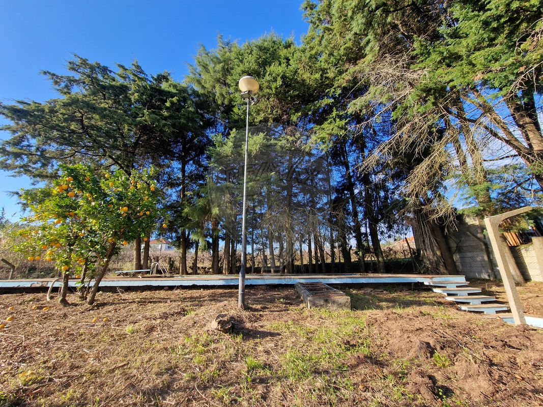 listing 125281055-39 picture-0