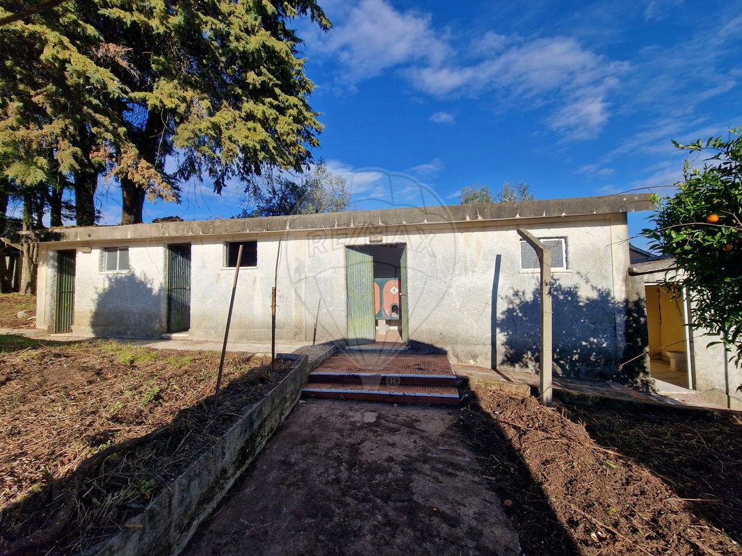 listing 125281055-39 picture-0