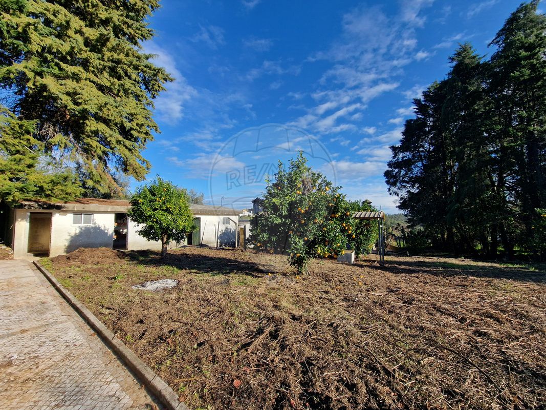 listing 125281055-39 picture-0