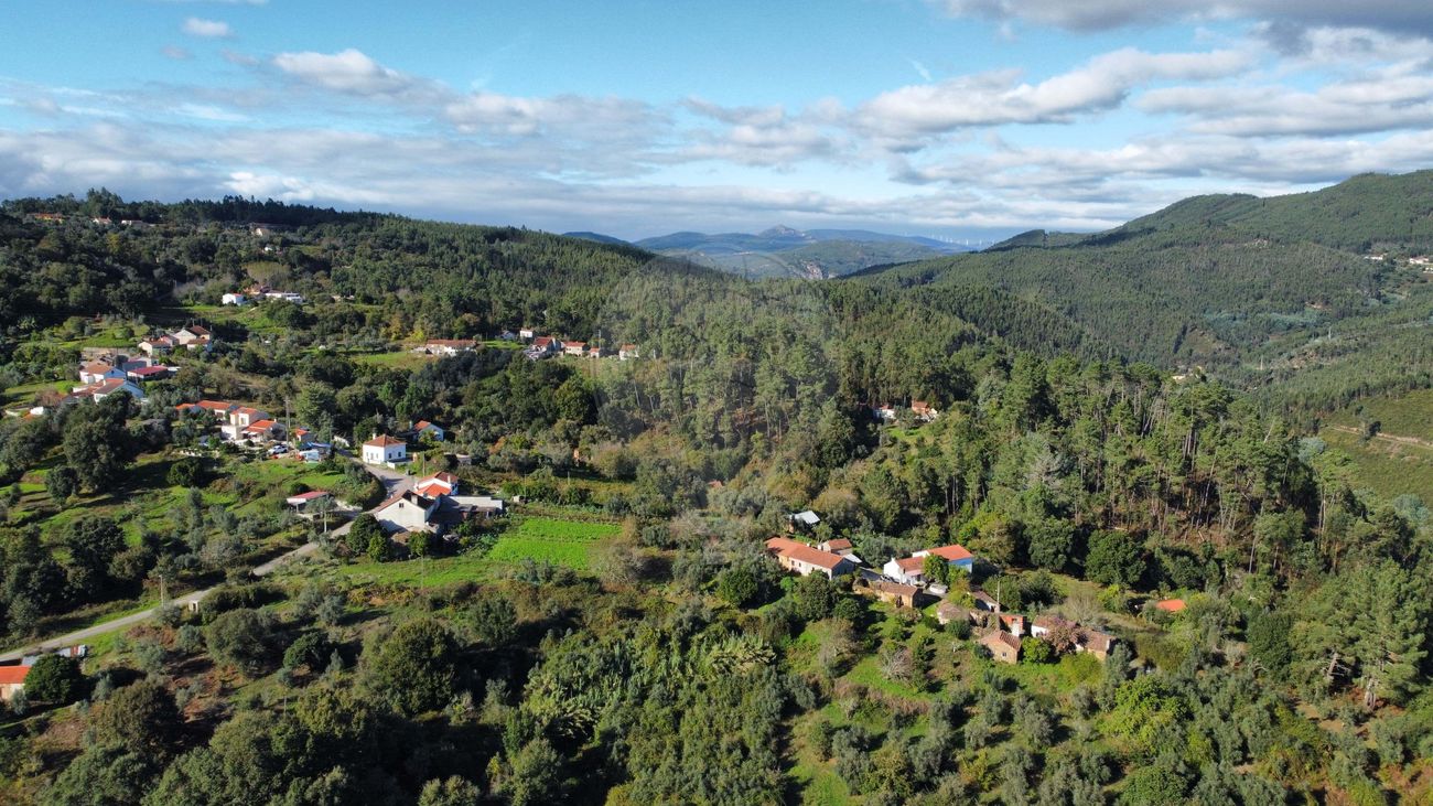 listing 125281032-254 picture-0