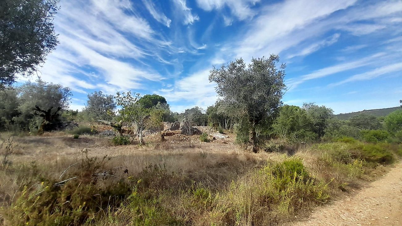 Outros - Habitação para venda