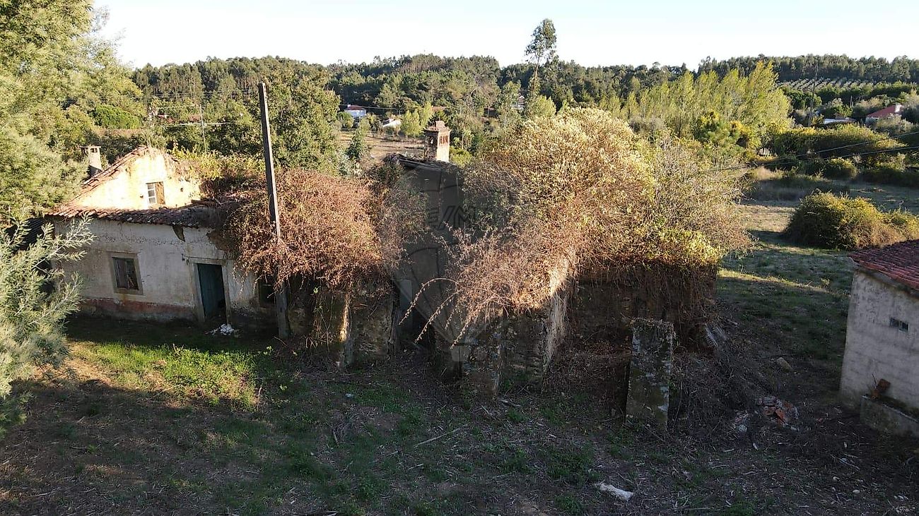 Quinta - Nossa Senhora do Pranto, Ferreira do Zêzere, Santarém
