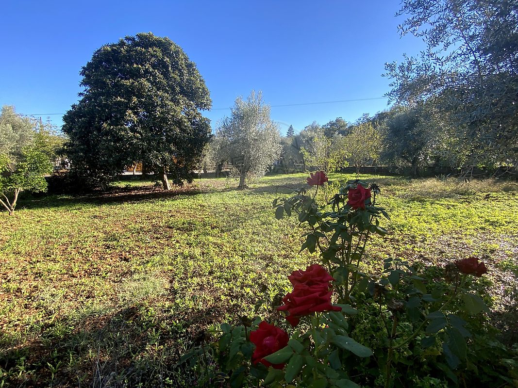 Moradia T3 à venda em Pussos São Pedro, Alvaiázere — foto 25