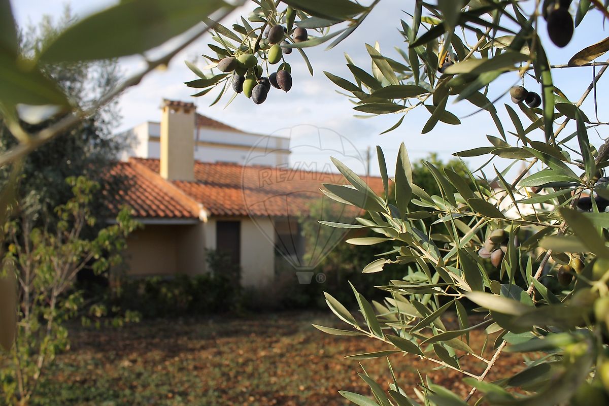 Moradia T3 à venda em Pussos São Pedro, Alvaiázere — foto 33