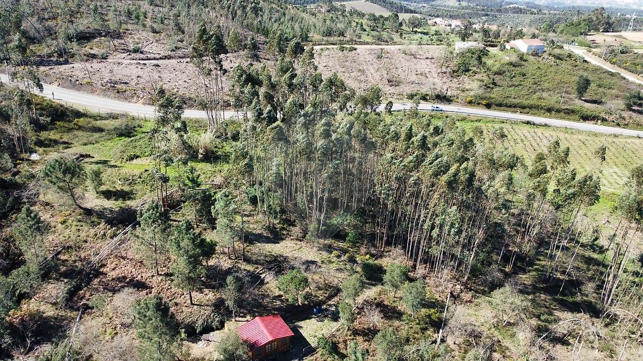 Terreno - Serra e Junceira, Tomar, Santarém
