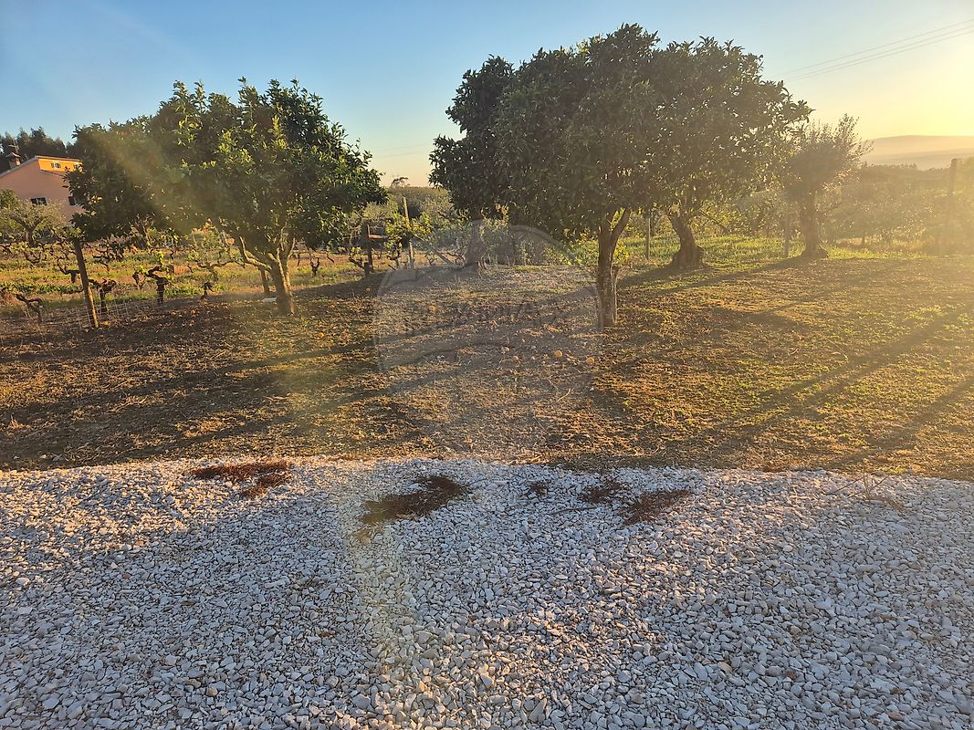 Terreno à venda em Tomar