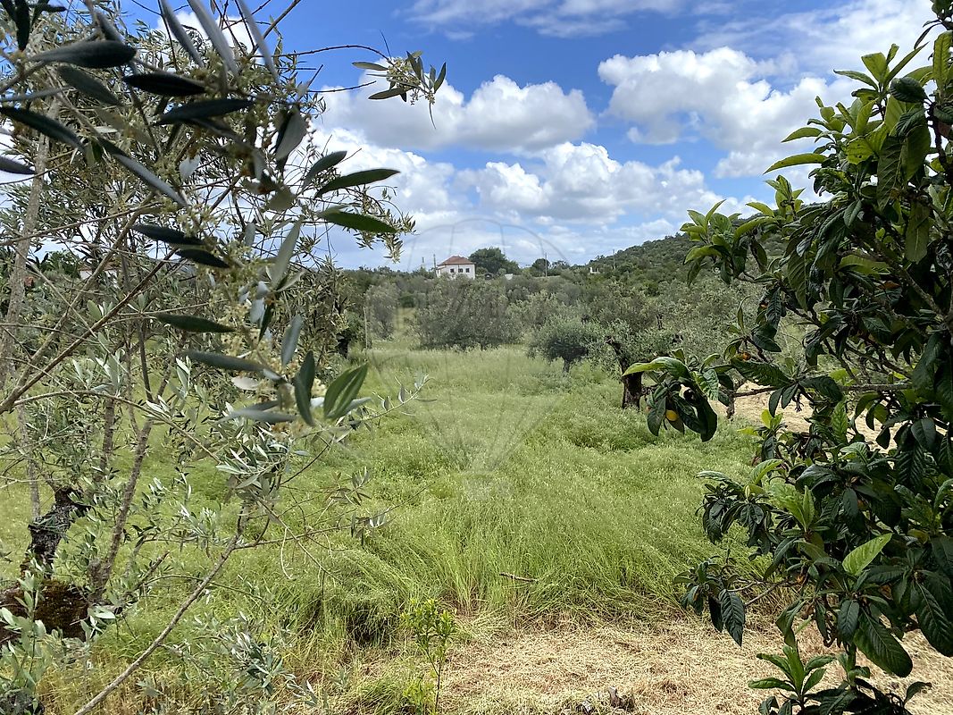 Moradia T4 à venda em Pussos São Pedro, Alvaiázere — foto 26
