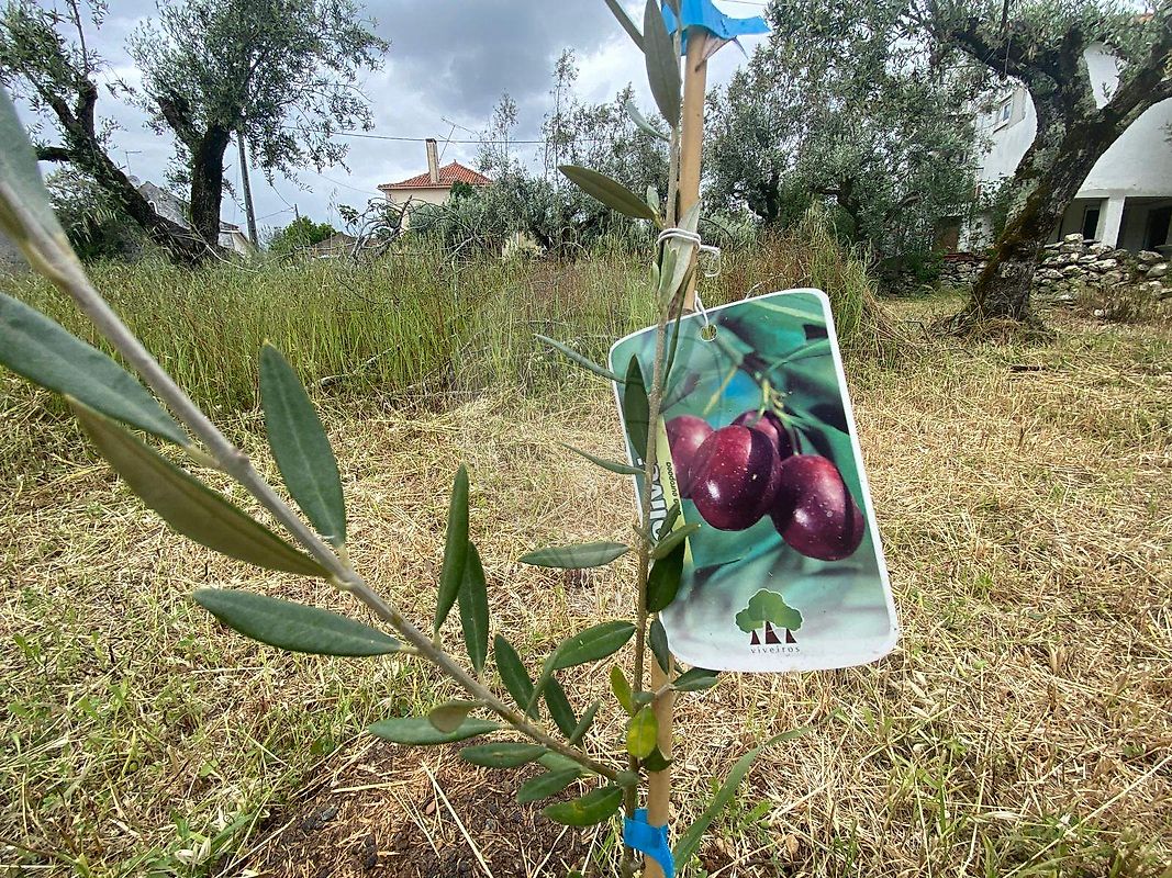 Moradia T4 à venda em Pussos São Pedro, Alvaiázere — foto 27