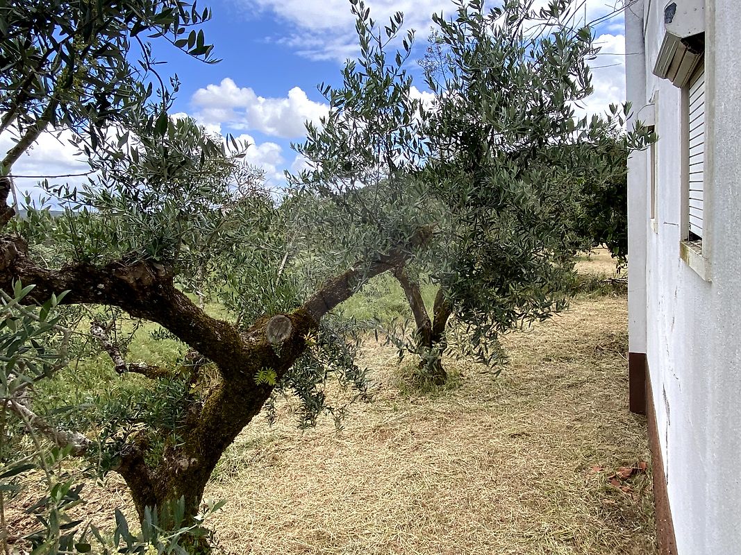 Moradia T4 à venda em Pussos São Pedro, Alvaiázere — foto 30