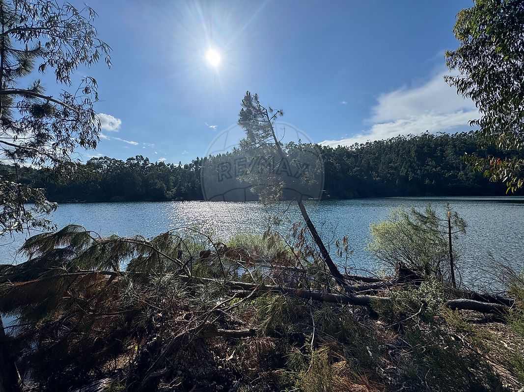 Terreno - Olalhas, Tomar, Santarém