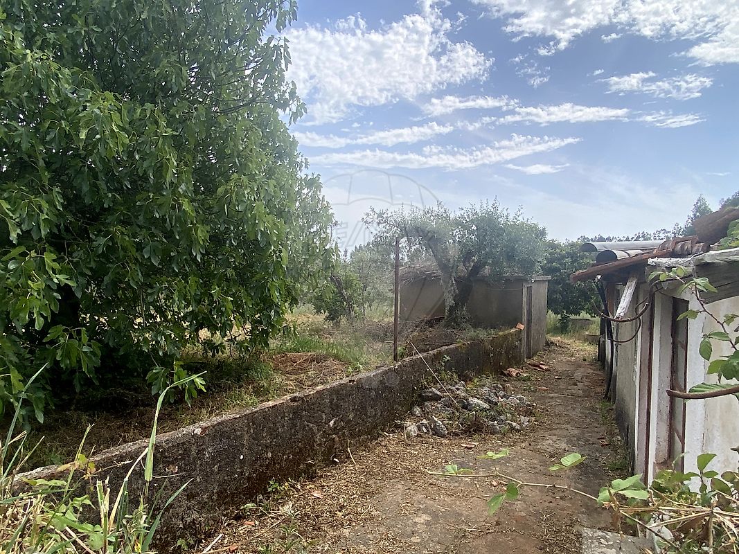 Moradia T4 à venda em Igreja Nova do Sobral, Ferreira do Zêzere — foto 21