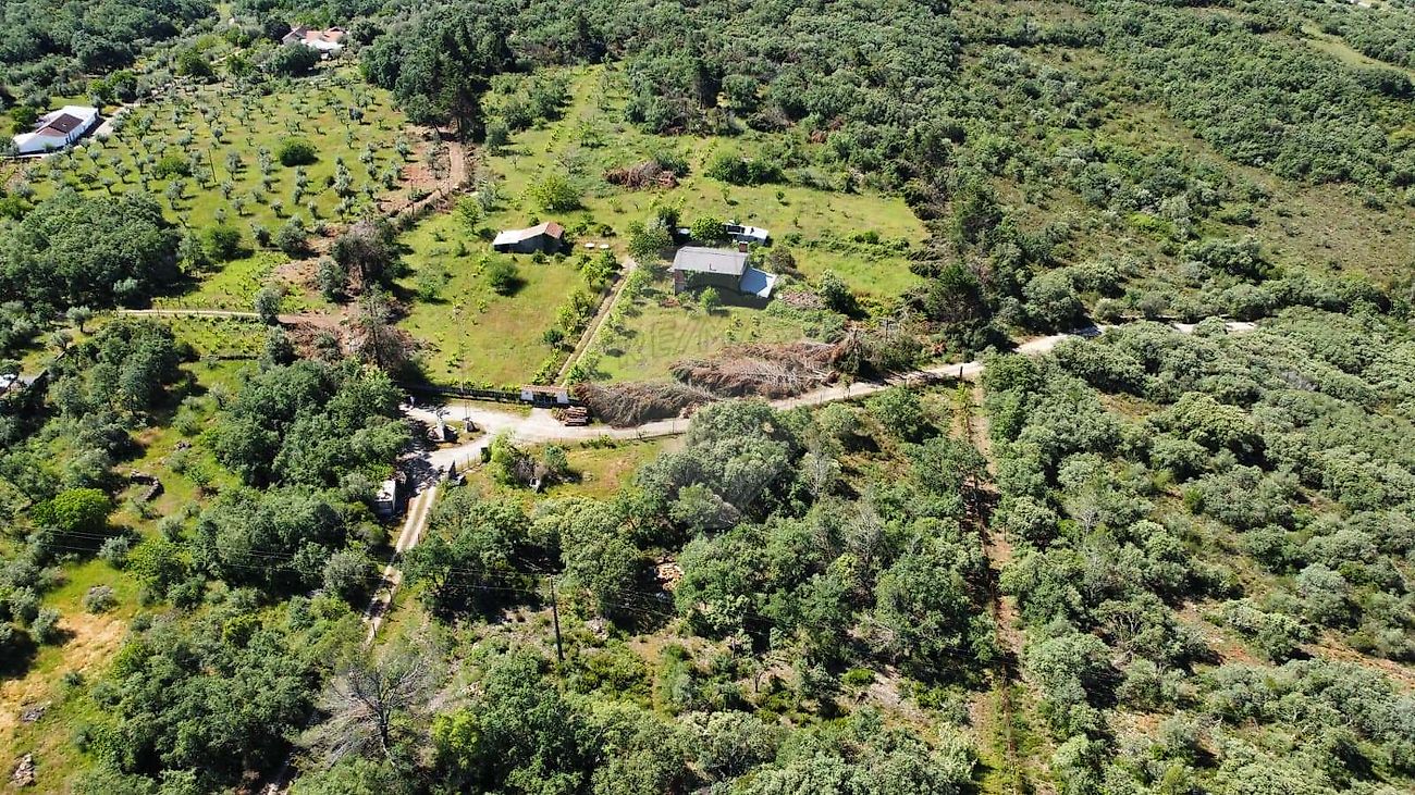 Terreno - Pussos São Pedro, Alvaiázere, Leiria