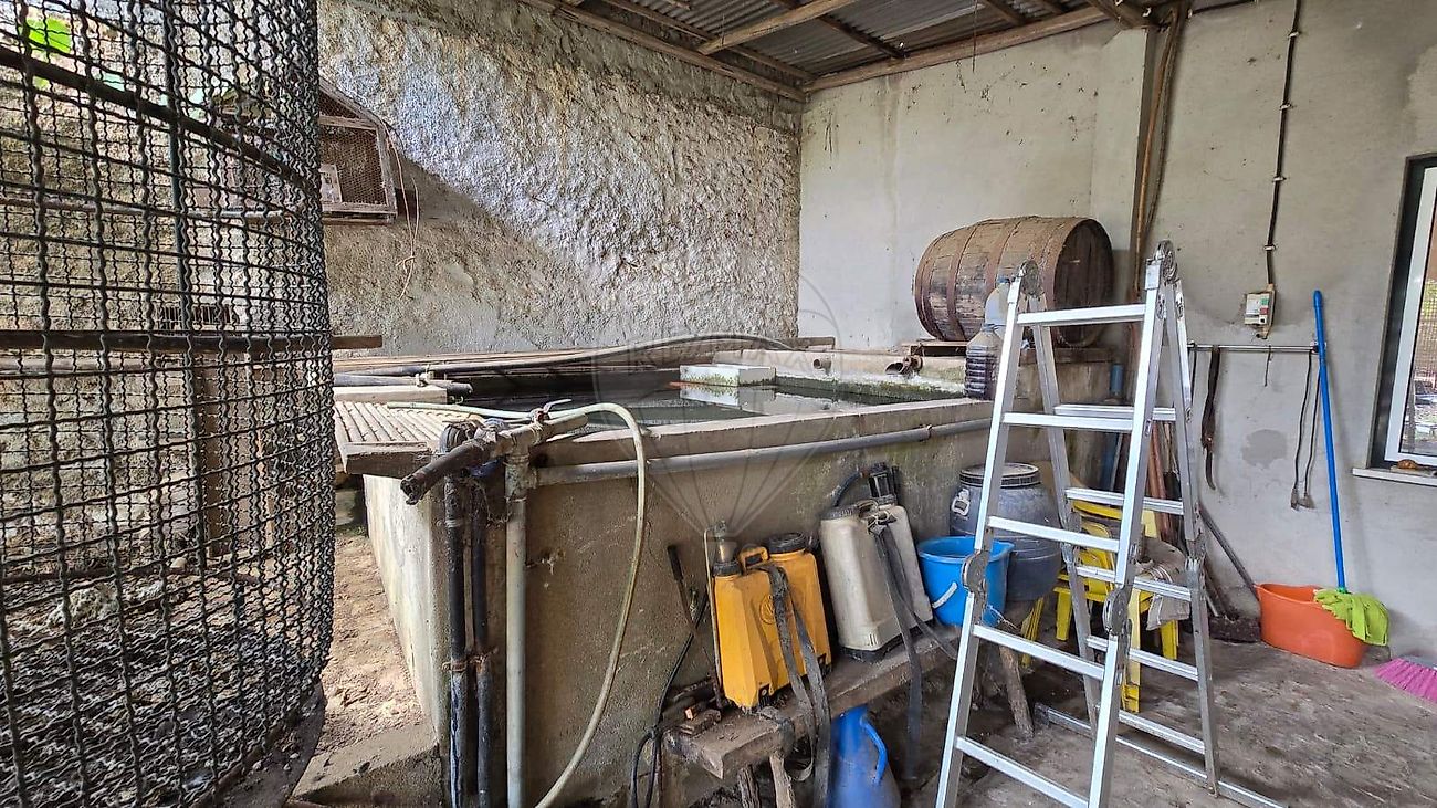 Moradia T6+ à venda em Beco, Ferreira do Zêzere — foto 31