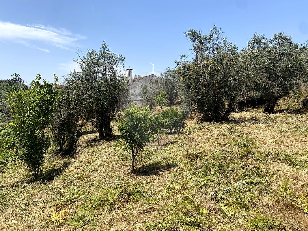 Moradia T4 à venda em Olalhas, Tomar — foto 35