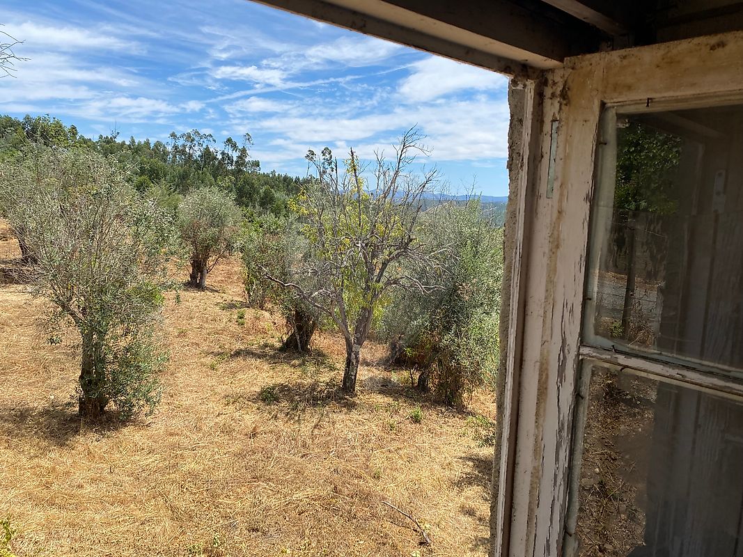Moradia T4 à venda em Olalhas, Tomar — foto 15